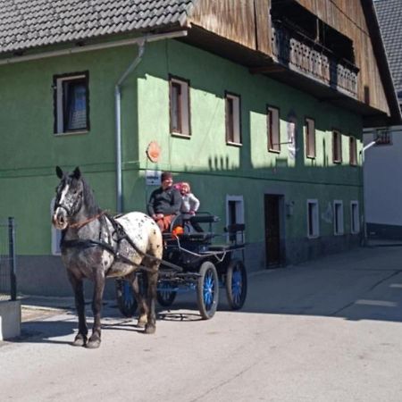 Hostel Sigma House Mojstrana Zewnętrze zdjęcie