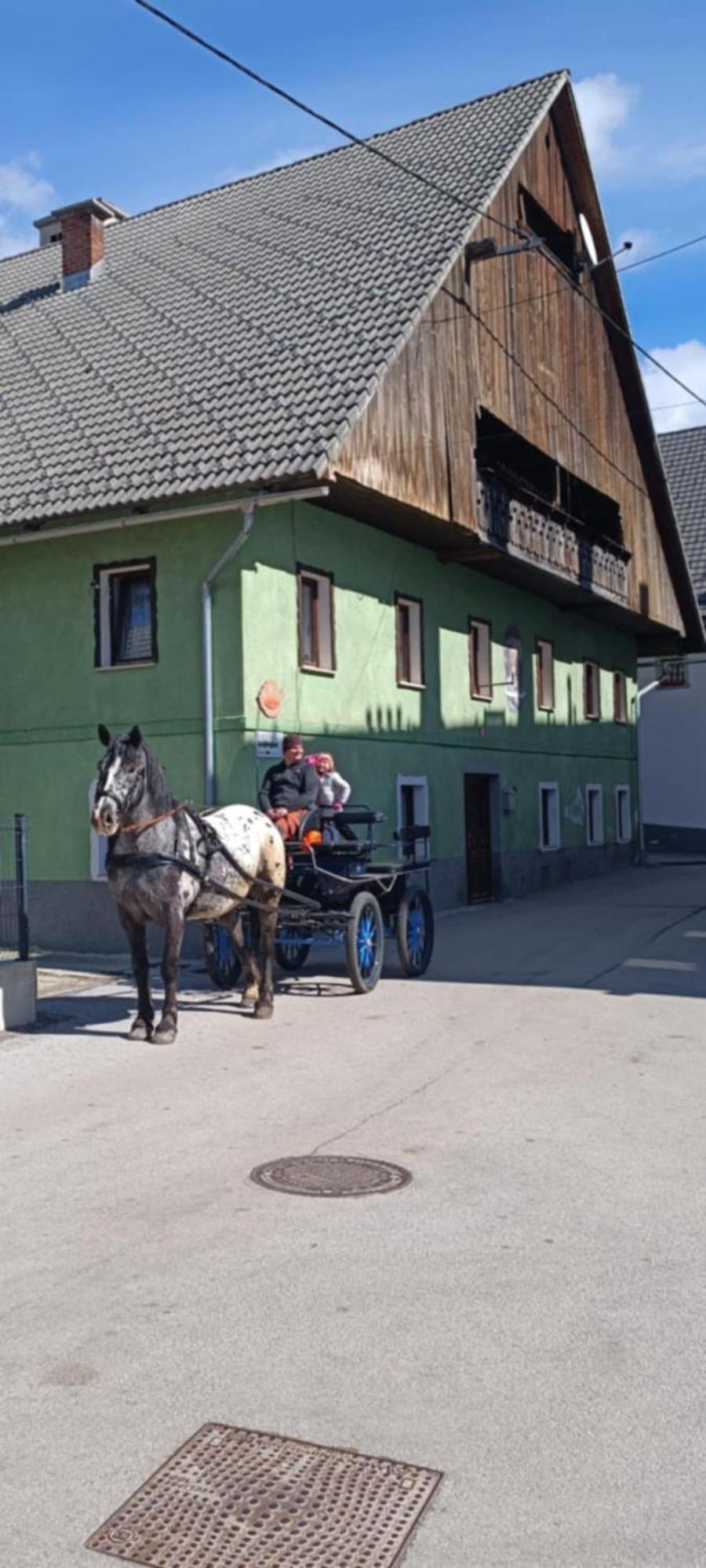 Hostel Sigma House Mojstrana Zewnętrze zdjęcie
