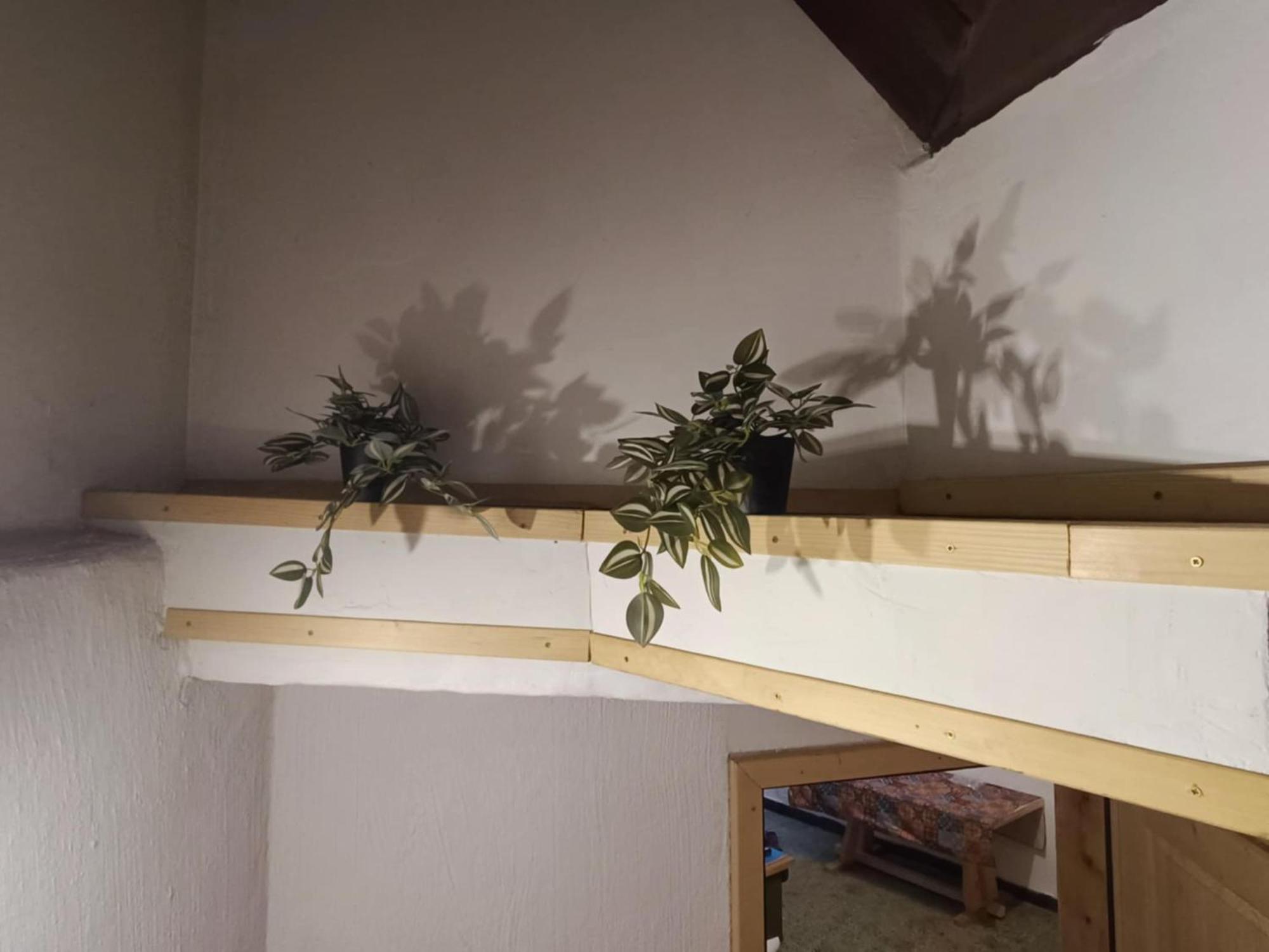 Hostel Sigma House Mojstrana Zewnętrze zdjęcie